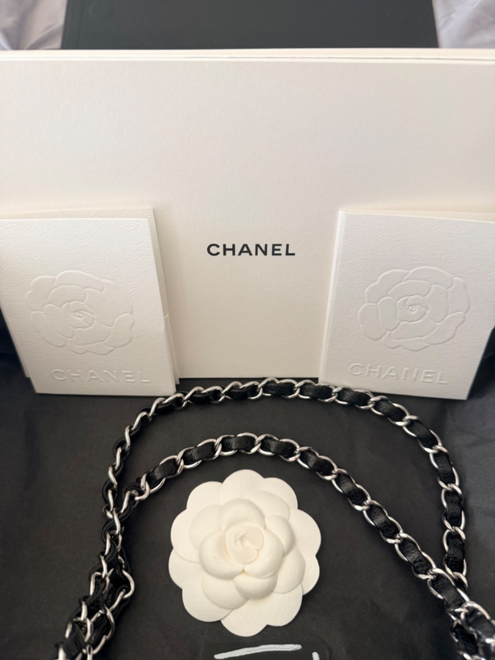Chanel Small Classic Handbag - Picture 3 of 14
